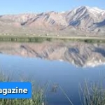 ‎افزایش سرقت‌های مسلحانه در مسیر ناور-غزنی